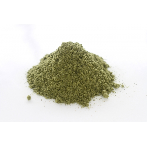 Salvia