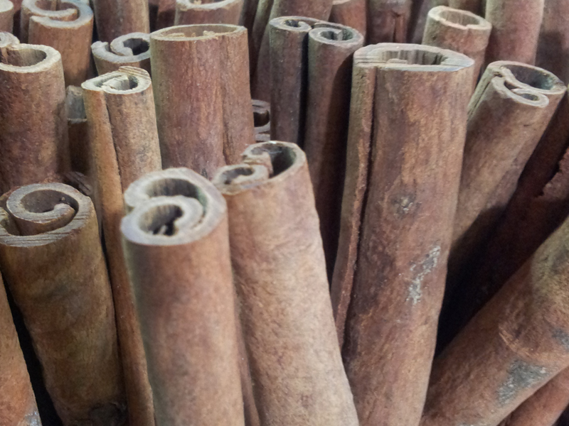 Canela em Pau