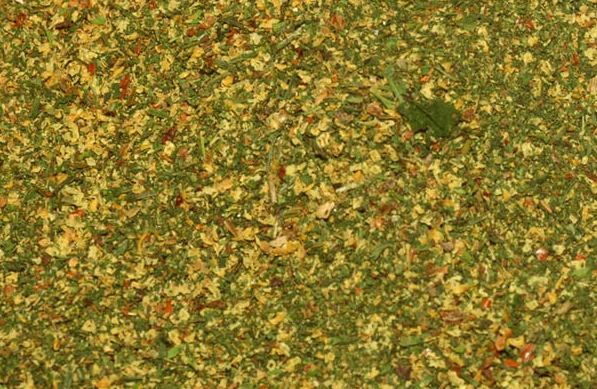 Salsa