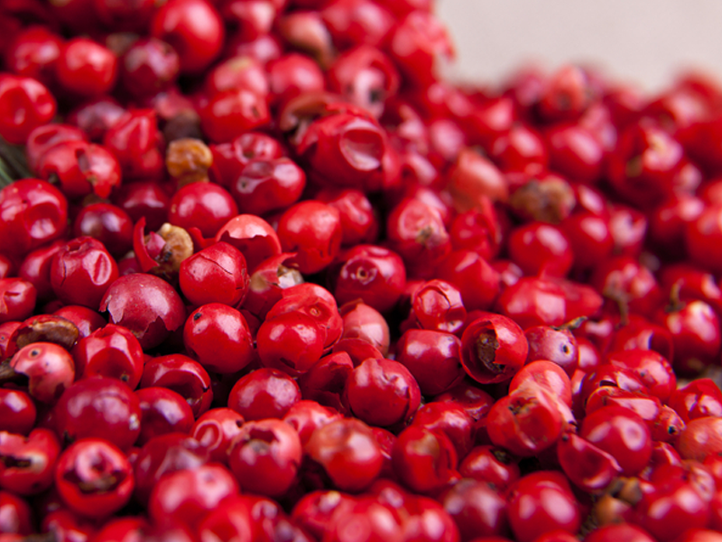 Pimenta Rosa